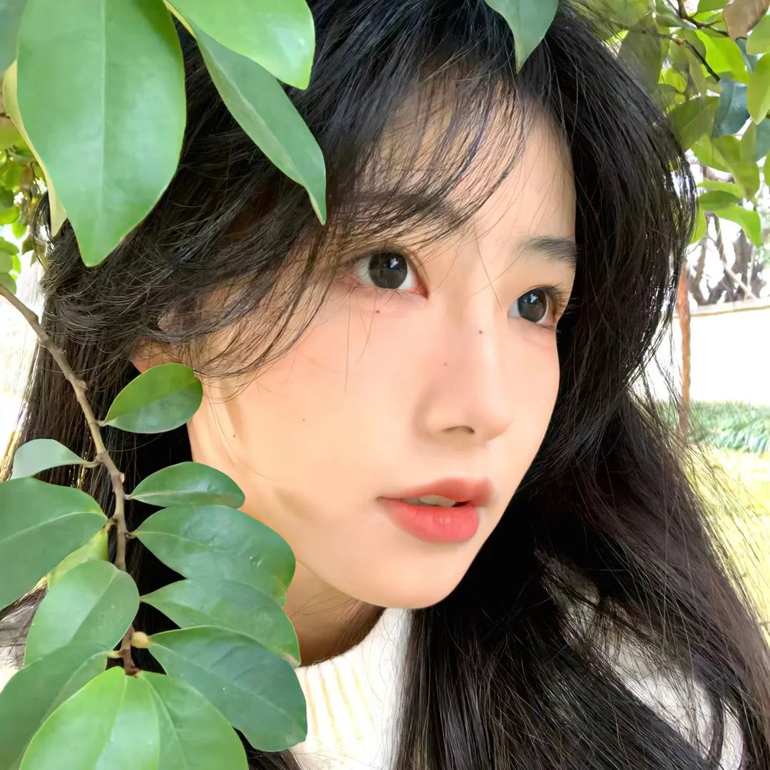 月光与他皆温柔